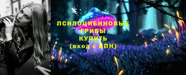 спайс Алзамай