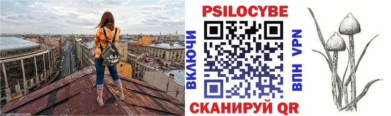 Псилоцибиновые грибы Psilocybine cubensis  Лабытнанги 